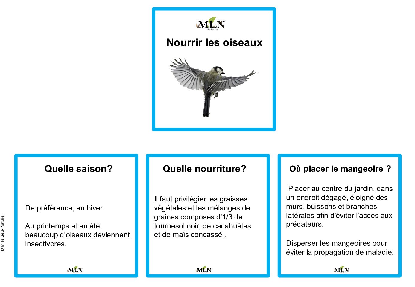 Nourrir les oiseaux en script