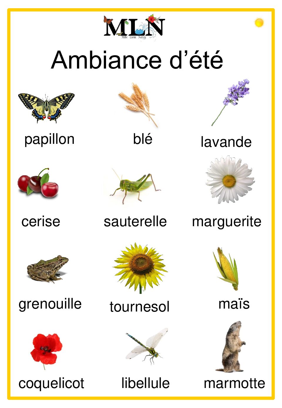Affiche ambiance d'été - script
