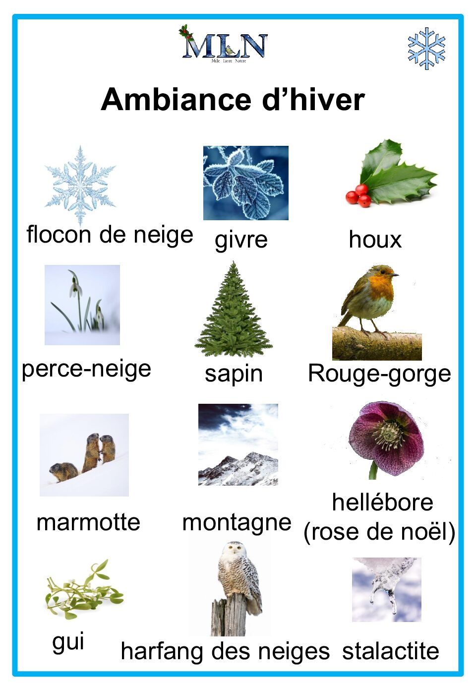 Affiche ambiance hiver - script