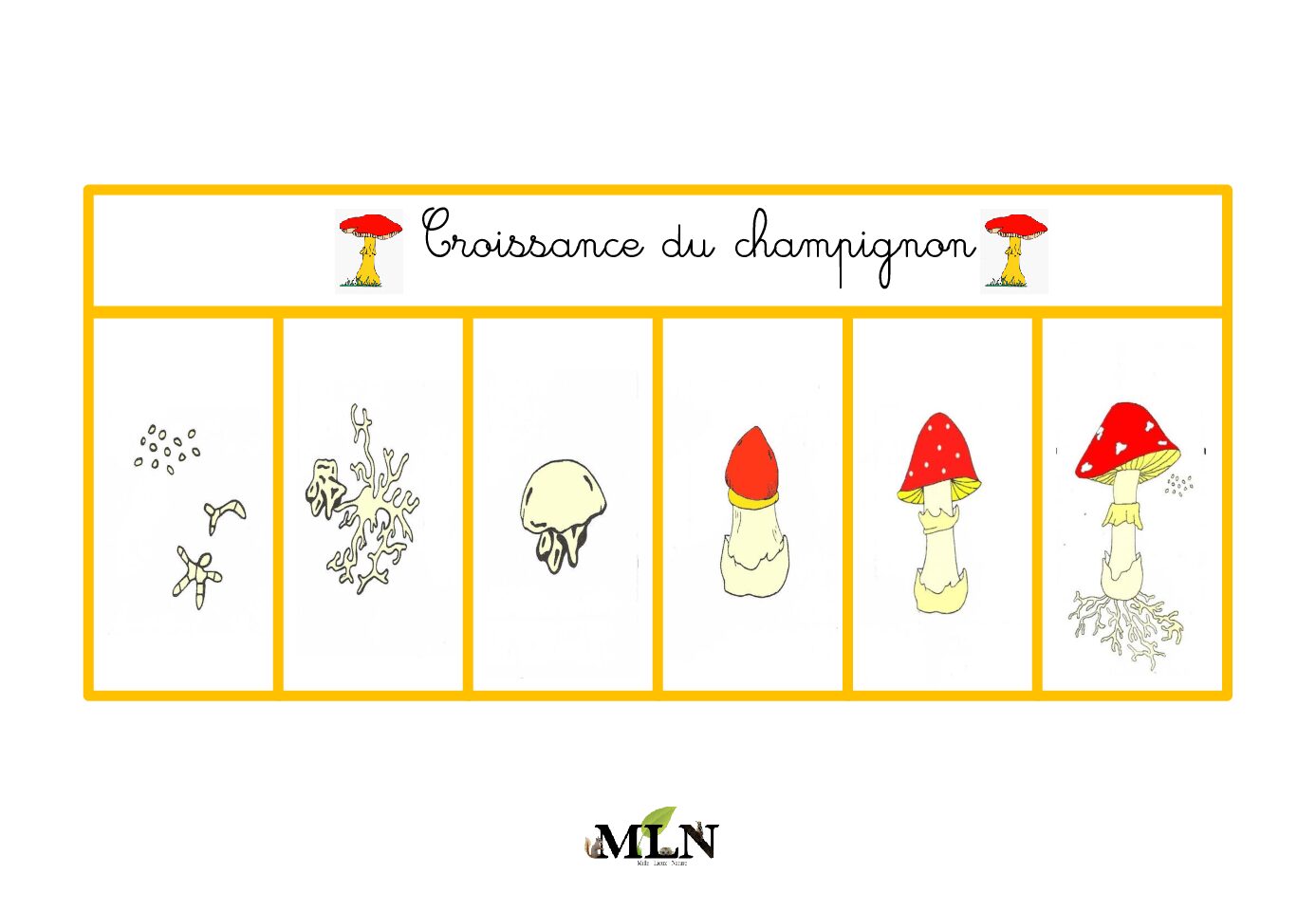 Croissance du champignon cursif