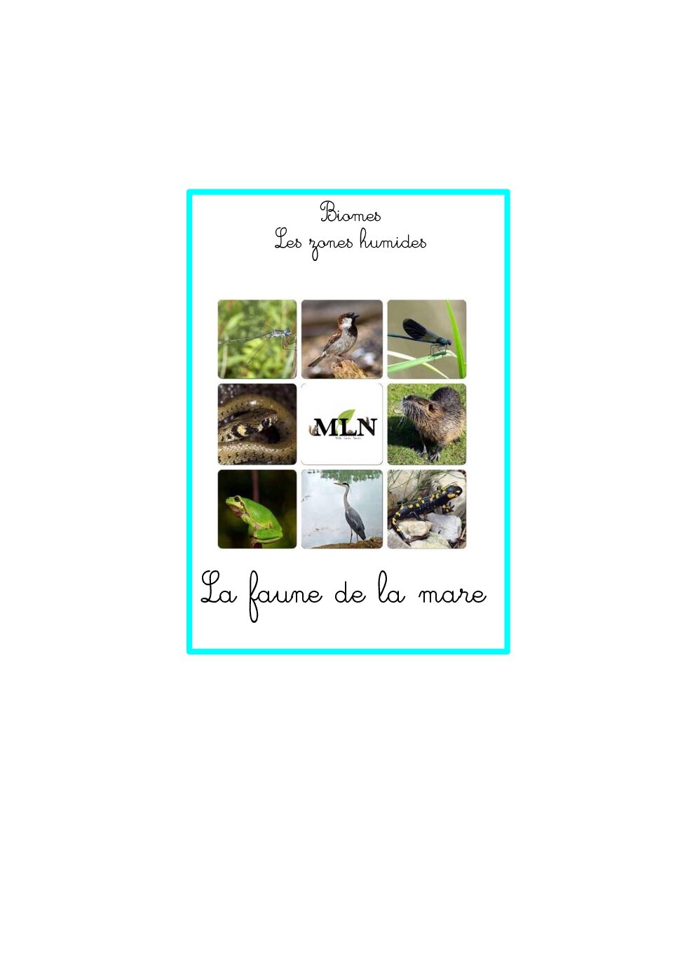 La faune de la mare en cursif