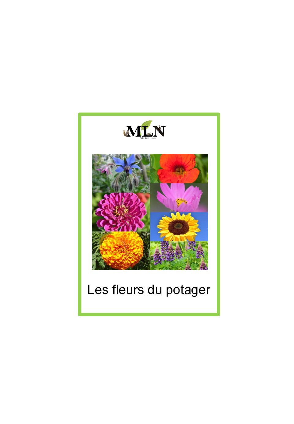 Les fleurs du potager en script
