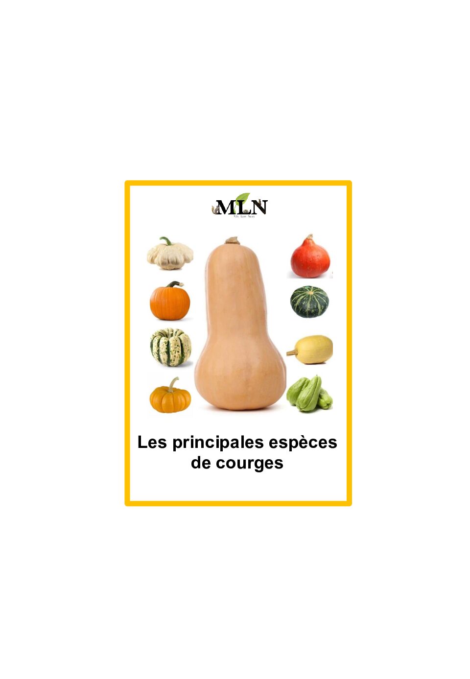 Les principales espèces de courges en script