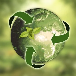 Ecologie et environnement