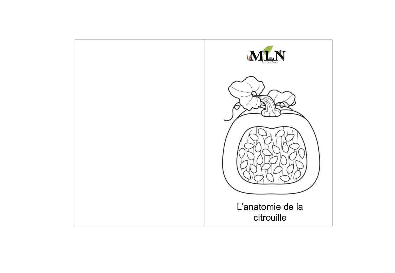 Livret coloriage anatomie de la citrouille en script