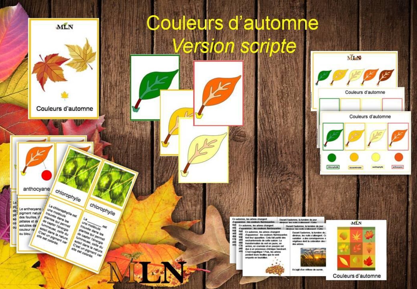 Couleurs d'automne version scripte