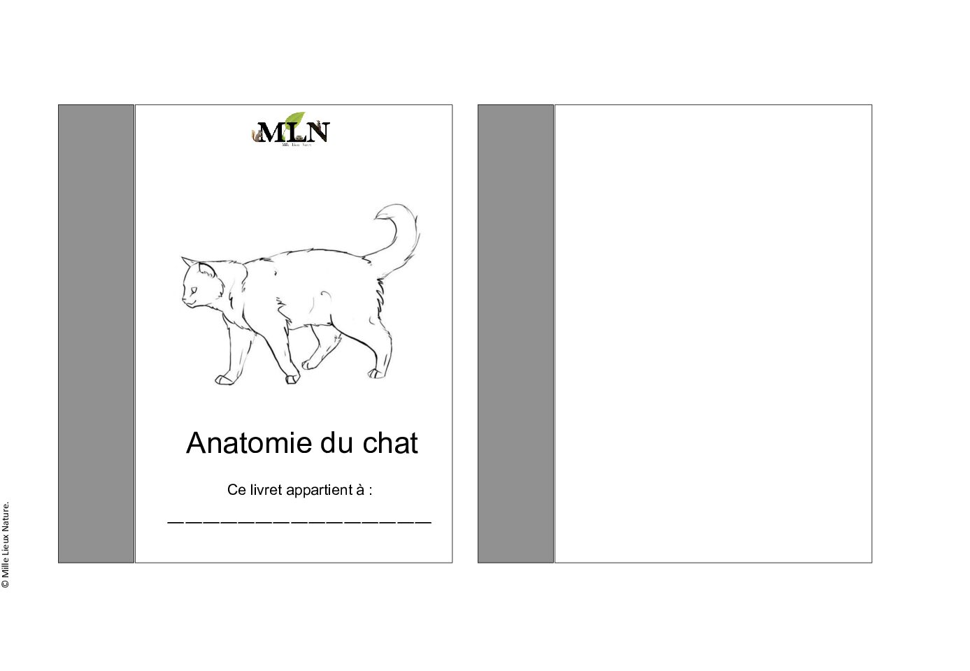 Livret de coloriage du chat en script
