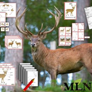 Dossier le cerf cursif