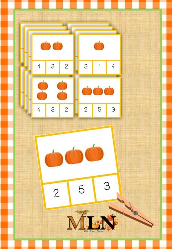 Cartes à pince citrouille