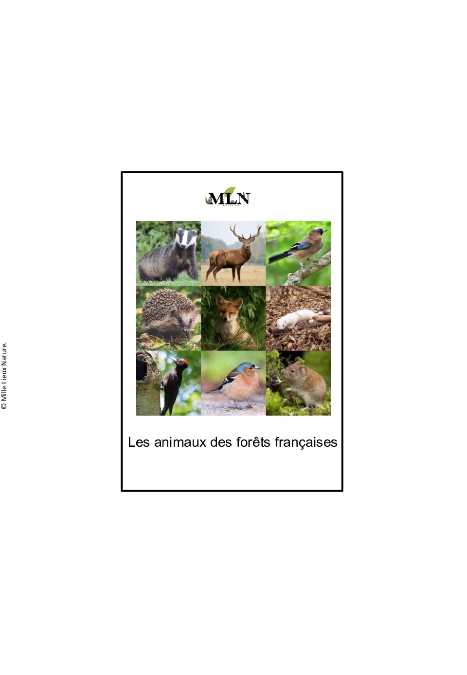 Nomenclatures les animaux des forêts françaises script