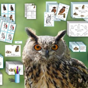 Dossier Le hibou cursif