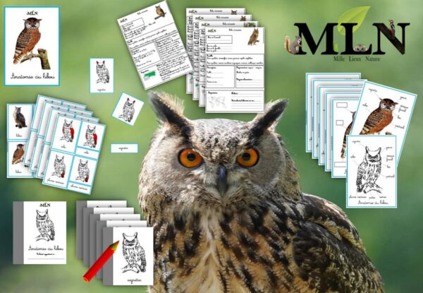 Dossier Le hibou cursif