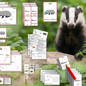 Dossier Le blaireau SCRIPT