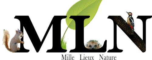 Mille Lieux Nature