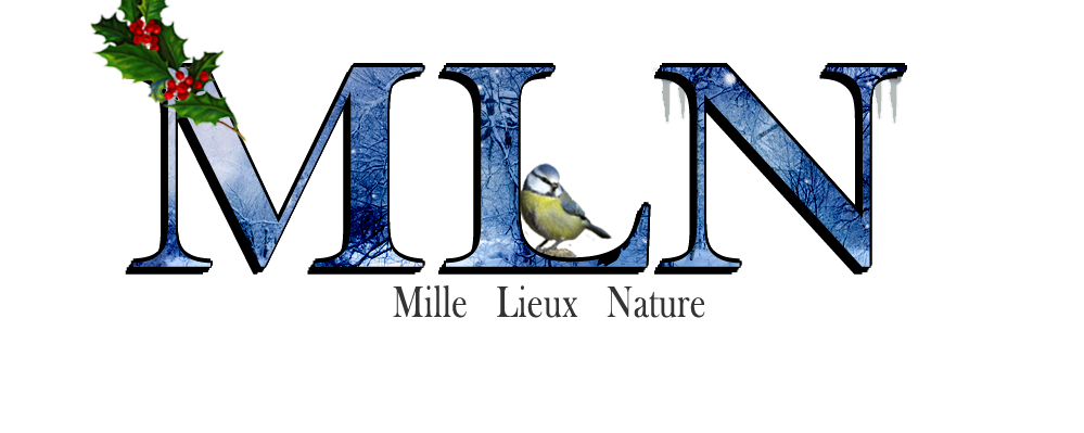 Mille Lieux Nature