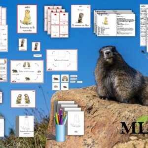 Dossier La marmotte cursif