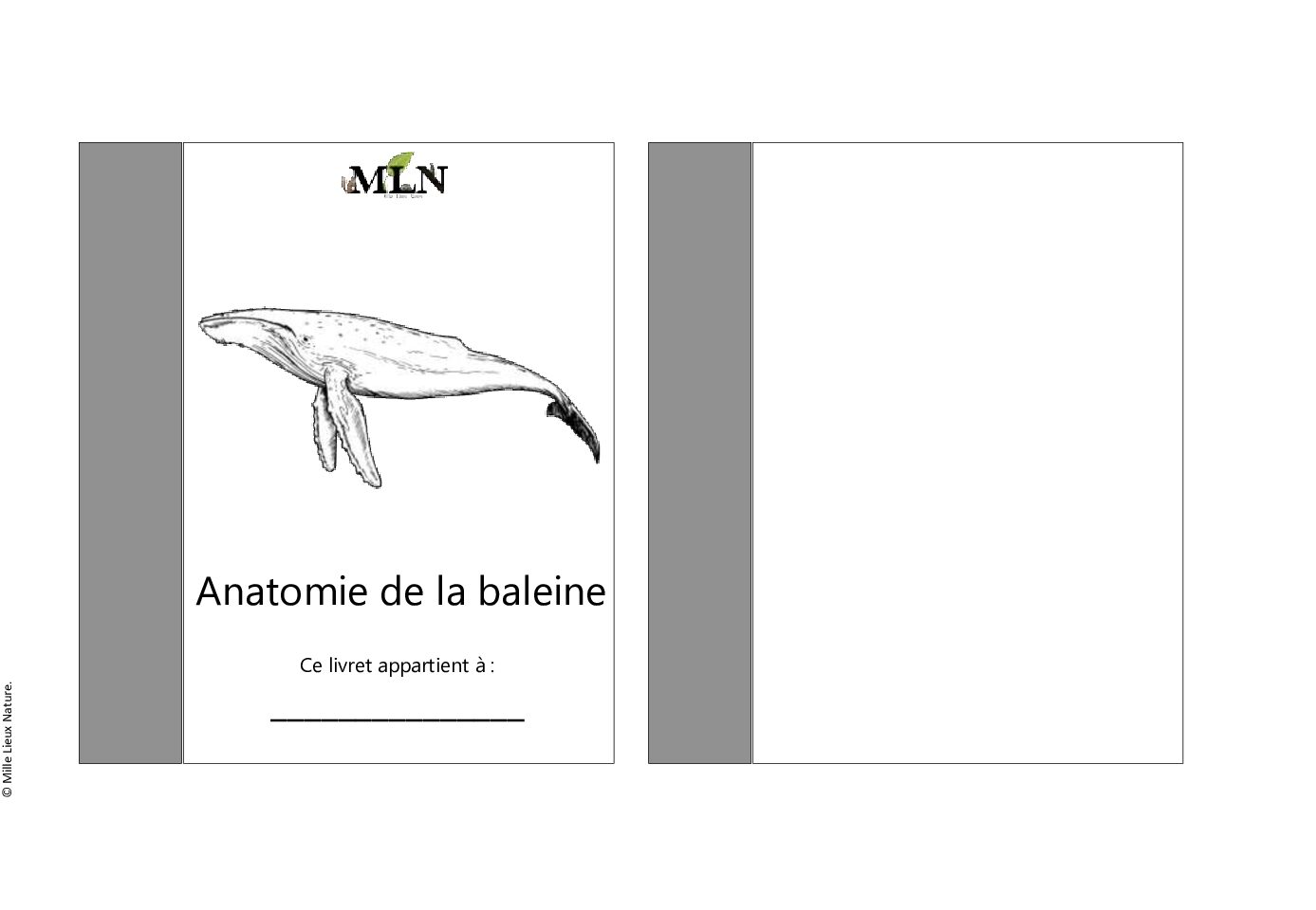 Livret de coloriage anatomie de la baleine script