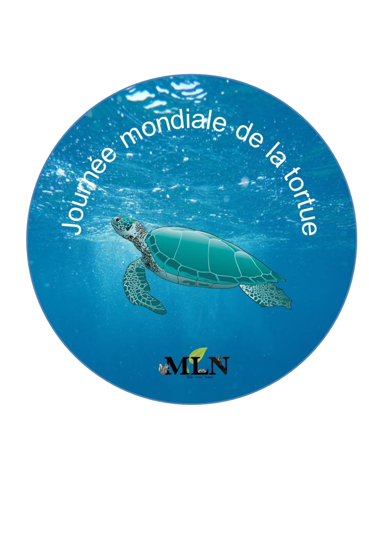 Journée mondiale de la tortue