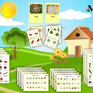 Dossier Légumes et fruits d'été cursif