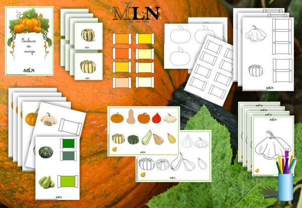 Kit d'automne n°3 SCRIPT – Image 2