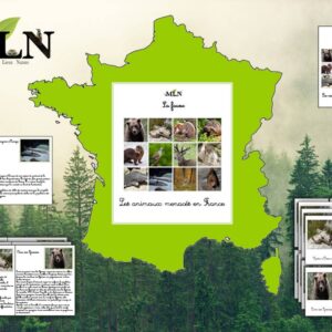 Les espèces menacées en France  (cursif) Édition 2023
