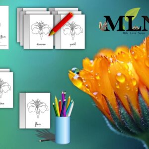 Livret de coloriage l'anatomie de la fleur cursif