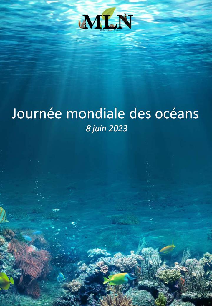 Journée mondiale des océans