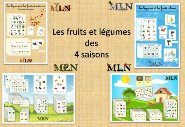 Kit les fruits et les légumes de 4 saisons SCRIPT