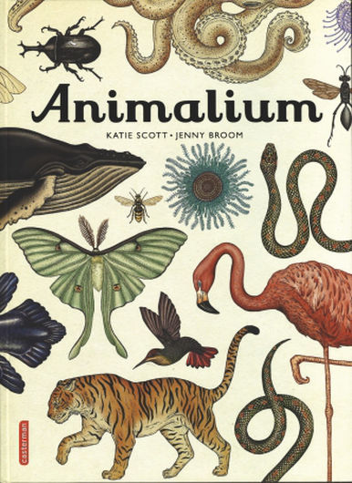 [Livres Nature] Animalium