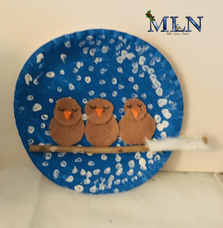 DIY Hiver : Les oiseaux en hiver