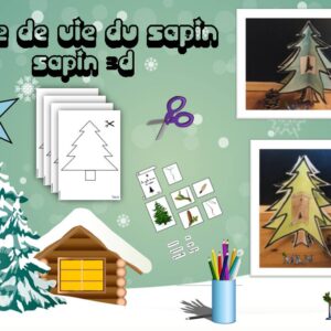 Activité cycle de vie du sapin 3D