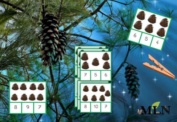 Cartes à pinces pommes de pin