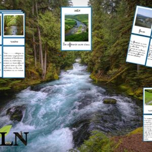 Les différents cours d'eau cursif