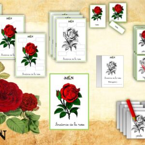 Dossier La rose cursif