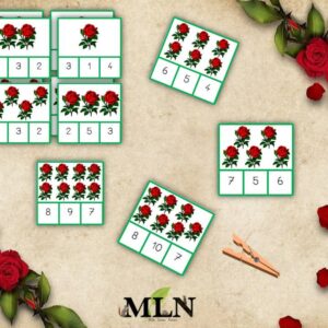 Cartes à pinces rose