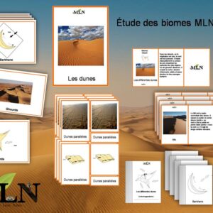 Dossier Les dunes script