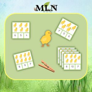 Cartes à pinces poussin