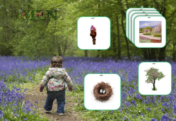 Images classifiées "Ambiance de printemps"