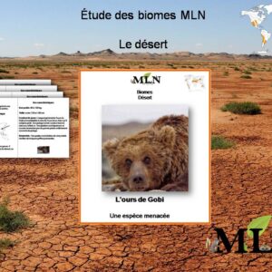 Livret Ours de Gobi
