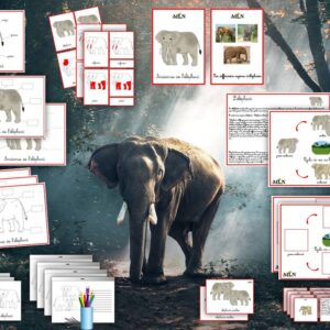 Dossier L'éléphant cursif