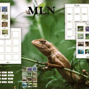 Affiches Les reptiles-1 cursif