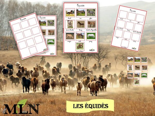 Affiches les équidés SCRIPT