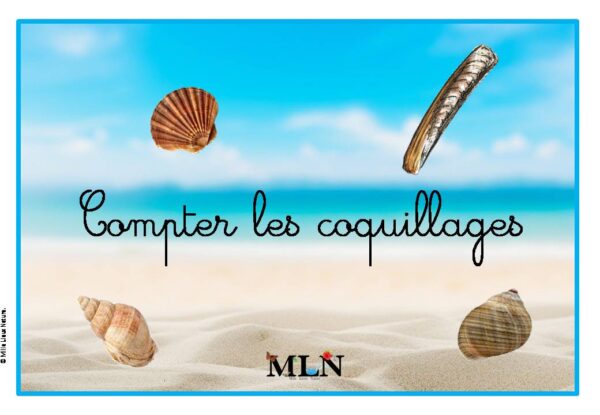Compter les coquillages