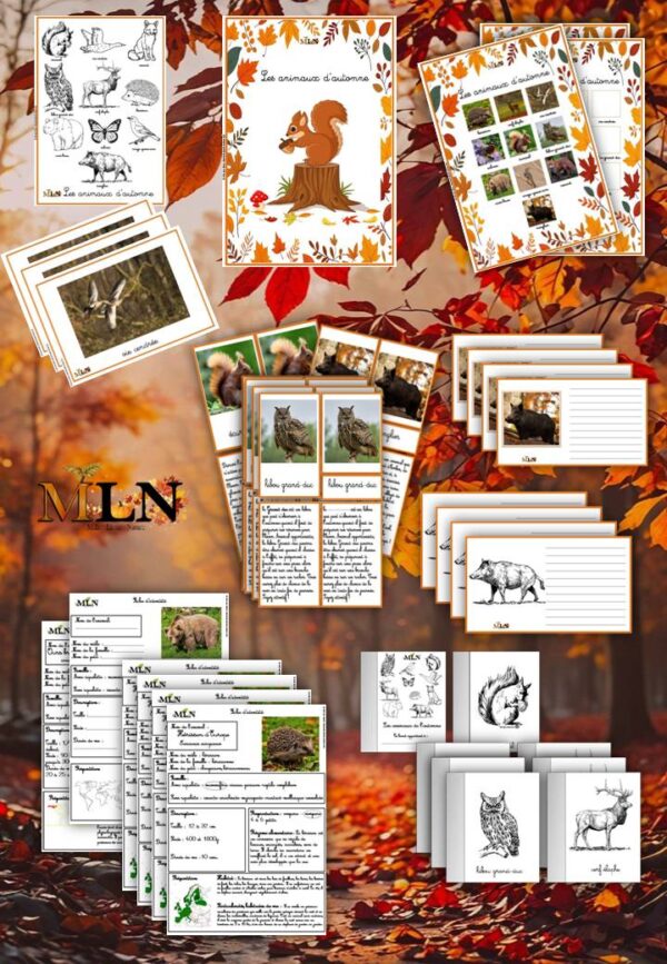 Les animaux de l'automne cursif