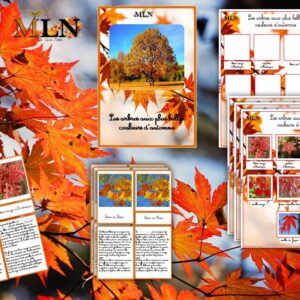 Les arbres aux plus belles couleurs de l'automne cursif