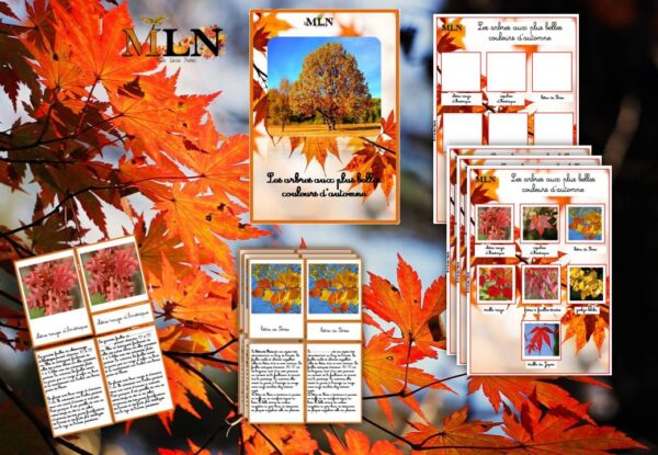 Les arbres aux plus belles couleurs de l'automne cursif