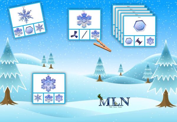Cartes à pinces les formes des flocons de neige