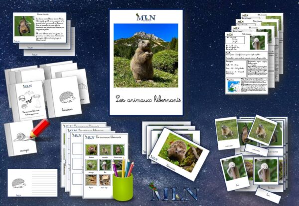 Les animaux hibernants cursif