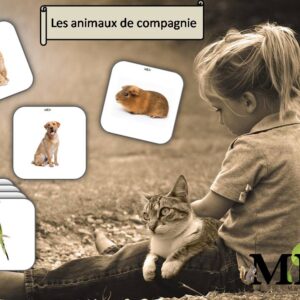 Images classifiées "Les animaux de compagnie"