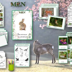 Les animaux du printemps SCRIPT